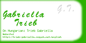 gabriella trieb business card